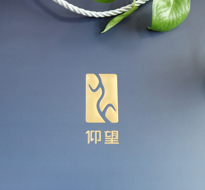 仰望手提袋